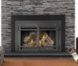 Fireplace Door Insert New the Guide Choose the Right Fireplace Door