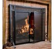 Fireplace Doors and Screens Luxury Single Panel Steel Fireplace Screen In 2019