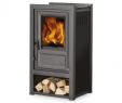 Fireplace Doors Online Luxury Gussofen Globe Fire Luna Ii L 6 Kw