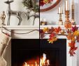 Fireplace Draft Guard Lovely 67 Best Fireplace Screens & Covers Images In 2017