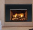 Fireplace Efficiency Elegant Fireplace Inserts Majestic Fireplace Inserts