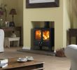 Fireplace Efficiency Fresh Beautiful Efficient and Clean Burning the Dimplex