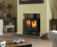 Fireplace Efficiency Fresh Beautiful Efficient and Clean Burning the Dimplex