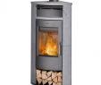 Fireplace Fire Starter Lovely Stahl Kamine Online Kaufen