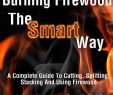 Fireplace Fire Starters Inspirational Burning Firewood the Smart Way Teaches You Everything You