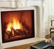 Fireplace Firebox Insert Best Of Fireplace Inserts Majestic Fireplace Inserts