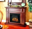 Fireplace Firebox Insert Luxury Buck Fireplace Insert – Petgeek