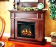 Fireplace Firebox Insert Luxury Buck Fireplace Insert – Petgeek