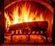 Fireplace Flu Elegant Ultimate Rejuvenation Cleanse