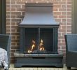 Fireplace Flue Cover New New Fireplace for Outdoors Ideas