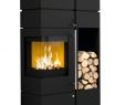 Fireplace Gas New Kaminofen Olsberg Ipala 5 Kw