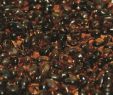 Fireplace Glass Beads Best Of Apricot Firebeads 10 Lb Containers Fireglass