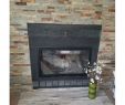 Fireplace Glass Door Fresh Pinterest Philippines