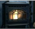 Fireplace Glass Door Installation New Vogelzang Pellet Stove – Herosocial