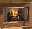 Fireplace Glass Door Replacement Fresh Heat & Glo Villawood 36