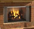 Fireplace Glass Door Replacement Fresh Heat & Glo Villawood 36