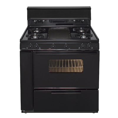 Fireplace Glass Doors Lowes Beautiful Premier 5 Burners 3 9 Cu Ft Manual Cleaning Freestanding Gas