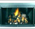 Fireplace Glass Doors Replacement Awesome Wood Burning Fireplace Doors with Blower – Popcornapp