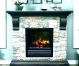 Fireplace Glass Doors Replacement Lovely Wood Burning Fireplace Doors with Blower – Popcornapp