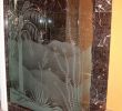 Fireplace Glass Enclosures Luxury Desert Allure Glass Shoer Enclosure