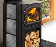 Fireplace Grate Heater Beautiful Quadra Fire 3100 Limited Edition Wood Stove Classic Black