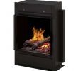 Fireplace Heater Insert Beautiful Dimplex Opti Myst Pro Portrait Electric Fireplace