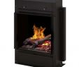 Fireplace Heater Insert Beautiful Dimplex Opti Myst Pro Portrait Electric Fireplace