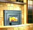 Fireplace Heater Insert Inspirational Buck Fireplace Insert – Petgeek