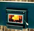 Fireplace Heater Insert Lovely Buck Fireplace Insert – Petgeek