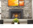 Fireplace Insert Cost Awesome Fireplace Inserts Napoleon Electric Fireplace Inserts