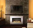 Fireplace Insert Cost Luxury the Best Gas Chiminea Indoor