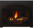 Fireplace Insert Installation Cost Awesome Escape Gas Fireplace Insert