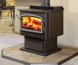 Fireplace Insert Installation Cost Fresh Wood Burning Stove Vs Pellet Stove Gaithersburg Md