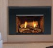 Fireplace Insert Replacement Best Of Fireplace Inserts Majestic Fireplace Inserts