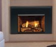 Fireplace Insert with Blower Awesome Fireplace Inserts Majestic Fireplace Inserts