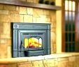 Fireplace Insert Wood Burning Luxury Buck Fireplace Insert – Petgeek