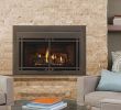 Fireplace Inserts Ct Lovely Fireplace Inserts Majestic Fireplace Inserts