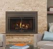 Fireplace Inserts Denver Fresh Fireplace Inserts Majestic Fireplace Inserts