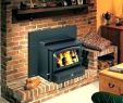 Fireplace Inserts for Sale Inspirational Wood Burning Fireplace Inserts for Sale – Janfifo