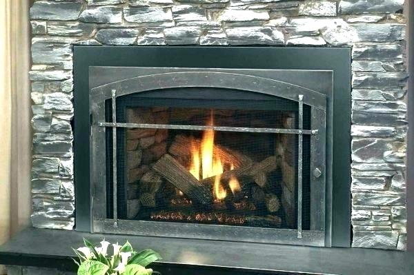 Fireplace Inserts for Sale Inspirational Wood Burning Fireplace Inserts for Sale – Janfifo