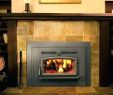Fireplace Inserts Near Me Luxury Magnificent Small Wood Burning Stove Fireplace Insert