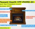 Fireplace Inspection Cost Beautiful Gas Kamin Reparatur Reno Gaskamin