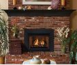 Fireplace Looks Beautiful Gas Fireplace Inserts & Logs Give You the Look Of Real Fire