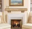 Fireplace Mantels Shelves Lovely White Gas Fireplace Mantel Fireplace Design Ideas