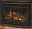 Fireplace Pilot Light Inspirational Majestic Gas Fireplace Pilot Light Instructions Fireplace