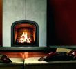 Fireplace Pilot Light Luxury Majestic Gas Fireplace Pilot Light Instructions Fireplace