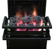 Fireplace Pilot Light New Rasmussen Americana Ventless Coalfire System 19" Lp W Man