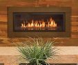 Fireplace Repair Denver Fresh 40 Best town and Country Fireplaces Images