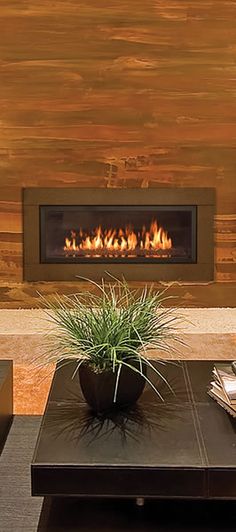 Fireplace Repair Denver Fresh 40 Best town and Country Fireplaces Images