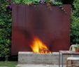 Fireplace Ring New Great Fire Pit and Privacy Wall Modern Landscape by Koning